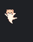 cat gets startled